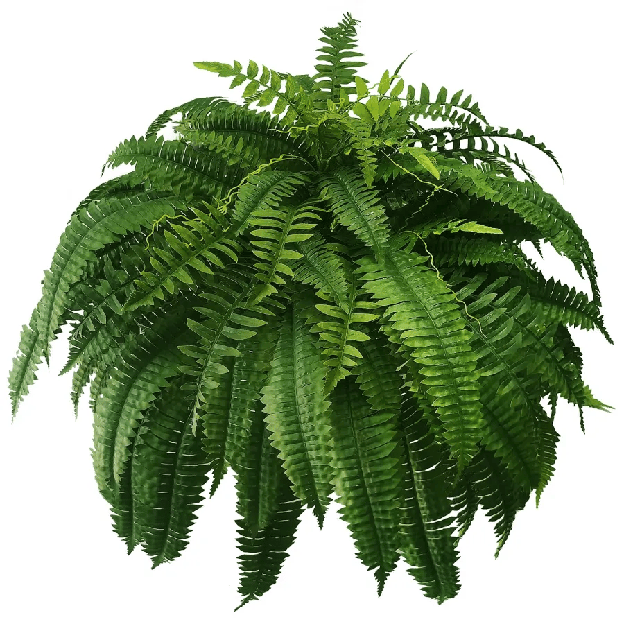 UV Resistant Lifelike Artificial Boston Fern🎁Buy 4 Free Shipping