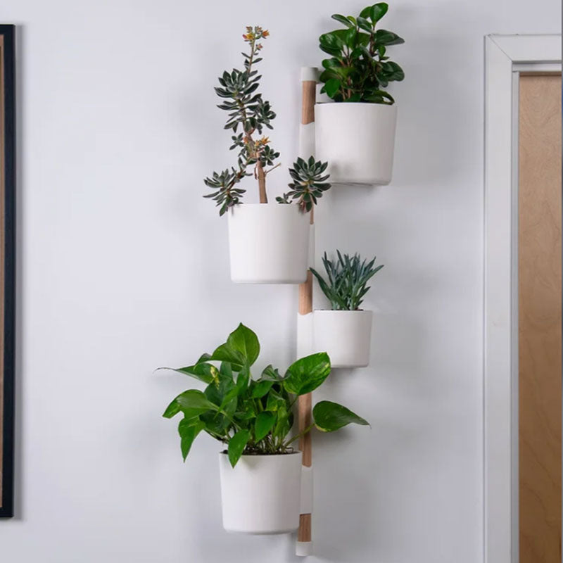 🌿 Home Plant Display Stand – Elevate Your Green Space 🌱