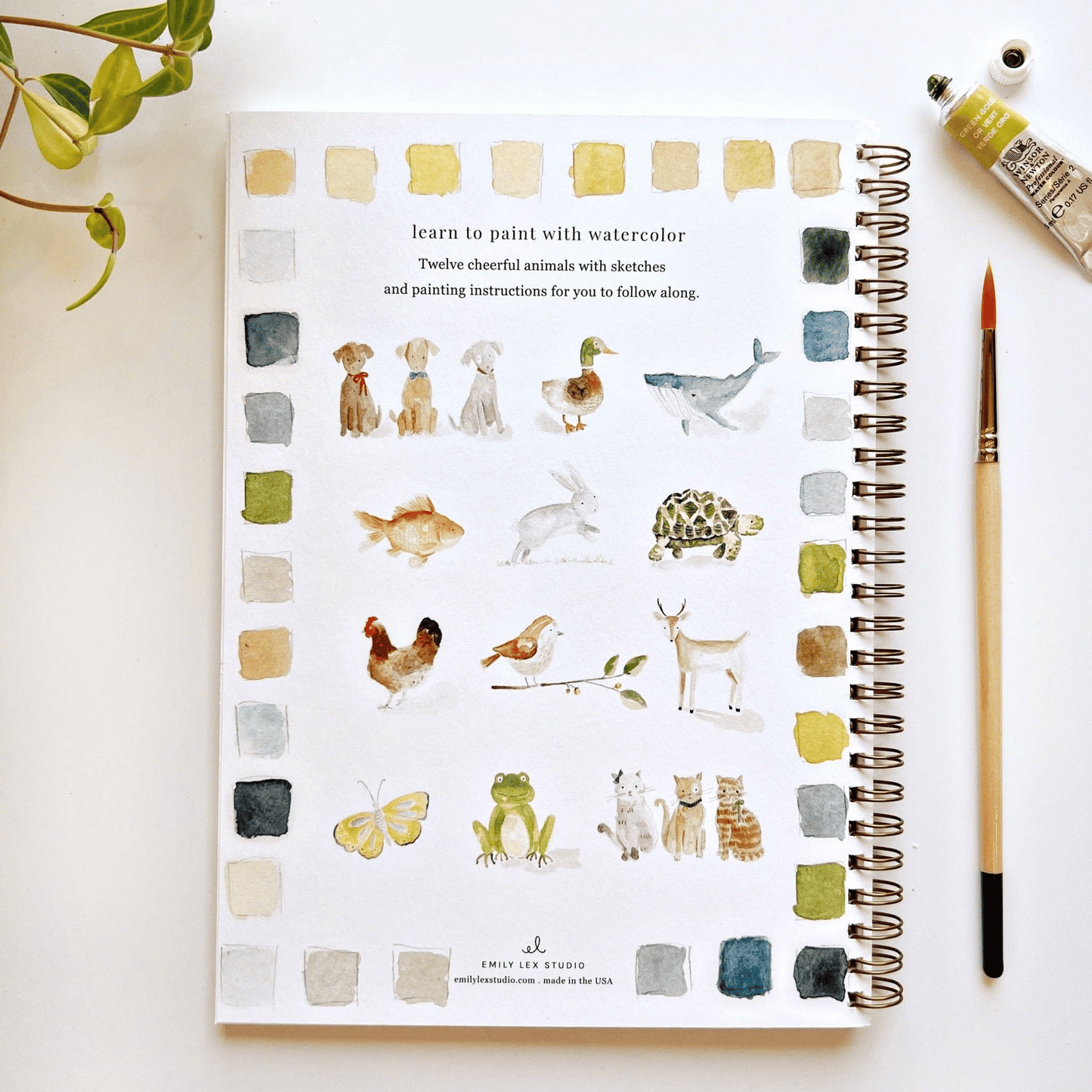 🔥LENTE MEGA UITVERKOOP🖼️Beginnersvriendelijk💕 Aquarel Werkboek