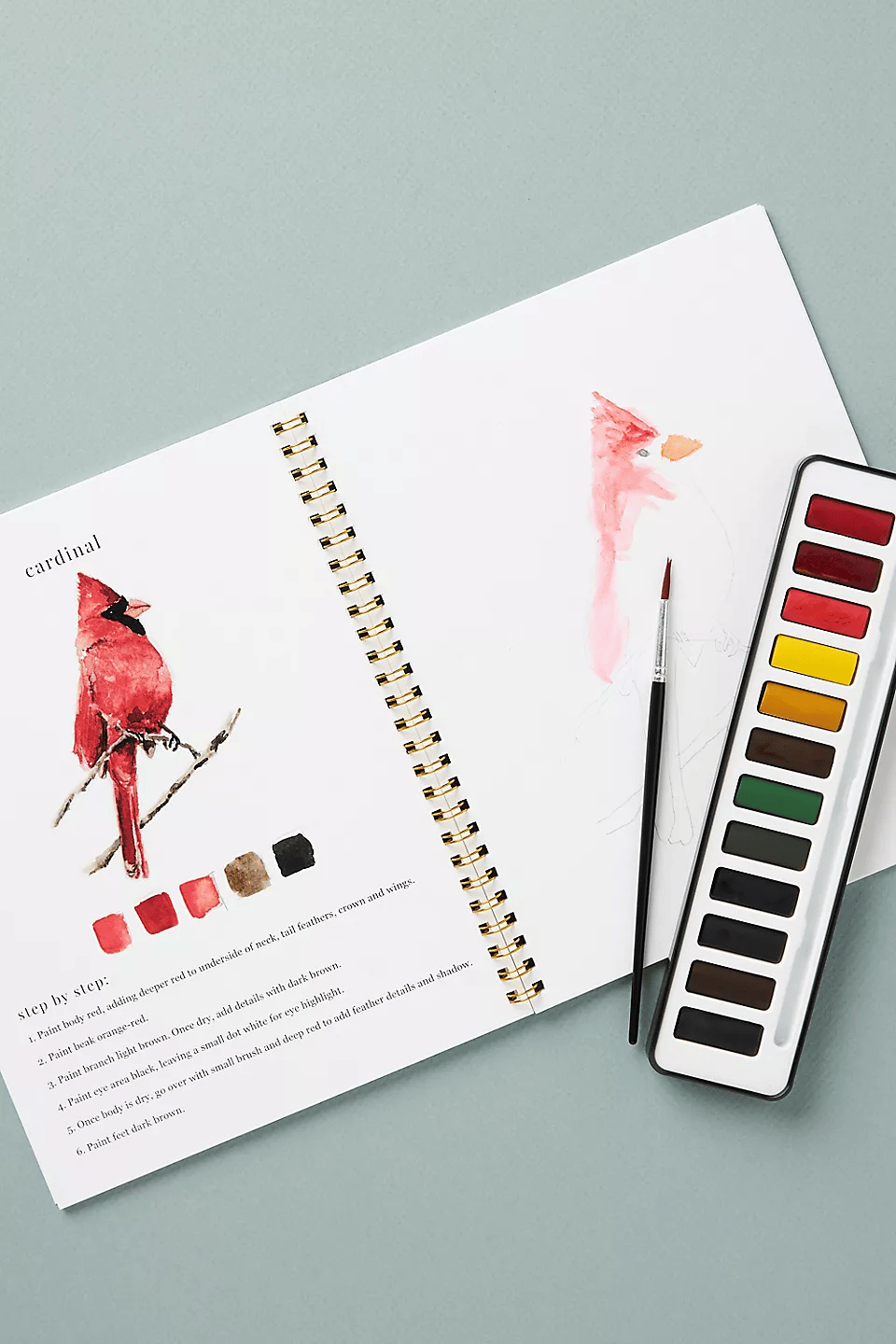 🔥LENTE MEGA UITVERKOOP🖼️Beginnersvriendelijk💕 Aquarel Werkboek