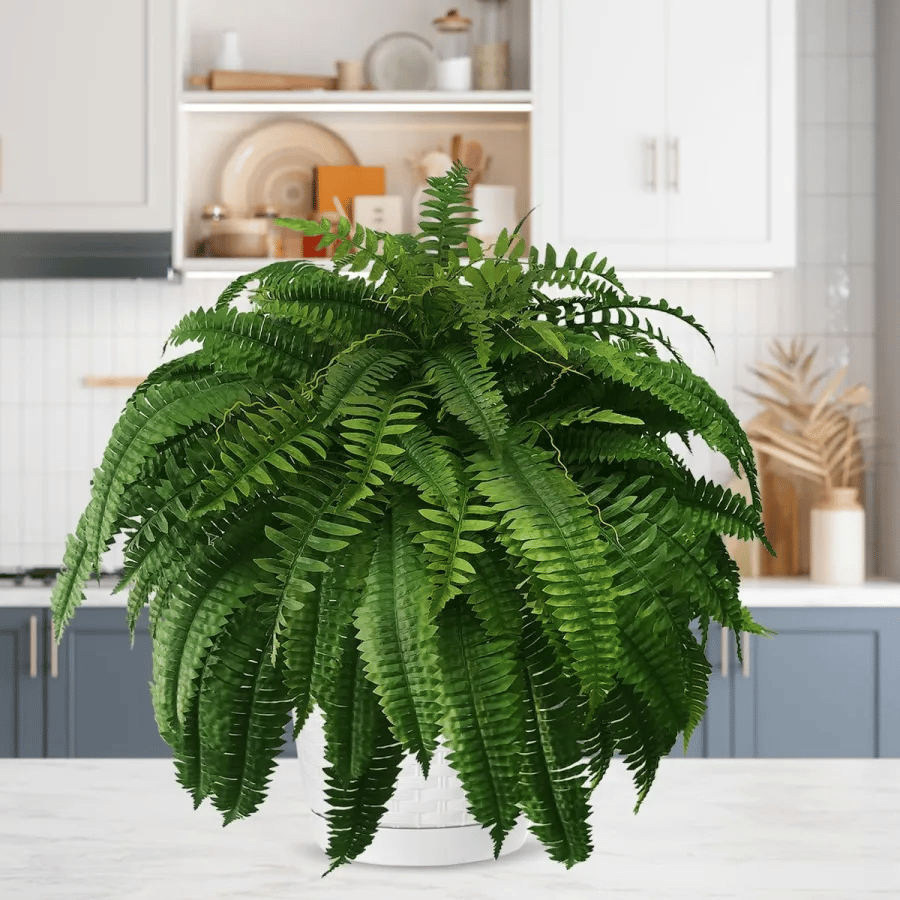 UV Resistant Lifelike Artificial Boston Fern🎁Buy 4 Free Shipping