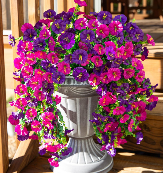 🌺 LAATSTE DAG -49% KORTING 🌺 Hangende Morgenster
