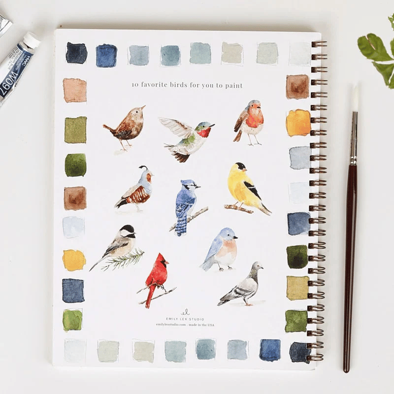 🔥LENTE MEGA UITVERKOOP🖼️Beginnersvriendelijk💕 Aquarel Werkboek