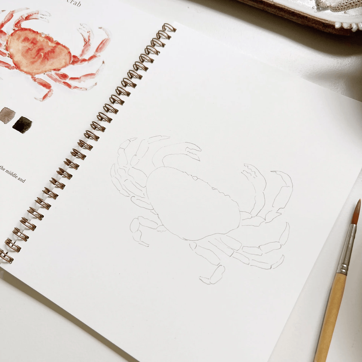 🔥LENTE MEGA UITVERKOOP🖼️Beginnersvriendelijk💕 Aquarel Werkboek